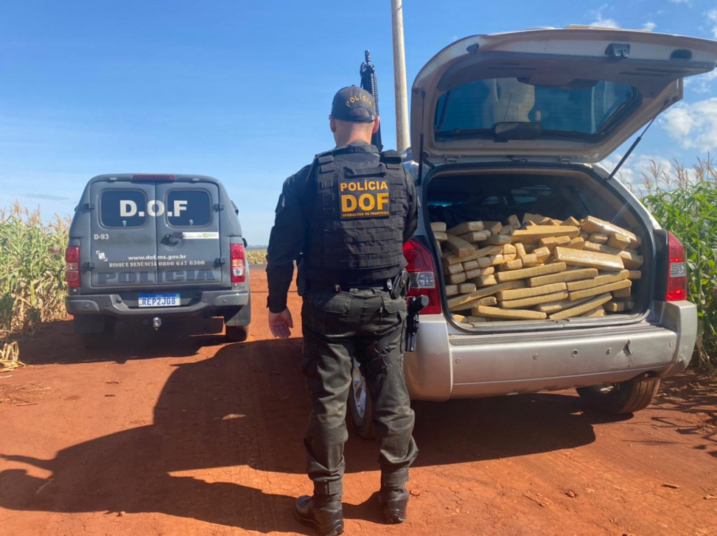 Policial do DOF ao lado de utilitário lotado de maconha (Imagem: Divulgação)