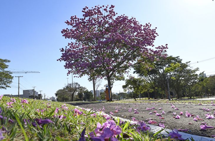 Foto: Bruno Rezende