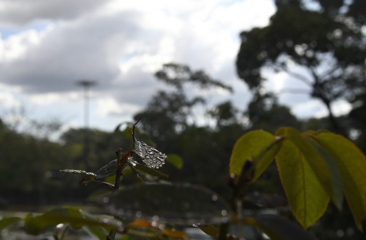 Foto: Bruno Rezende